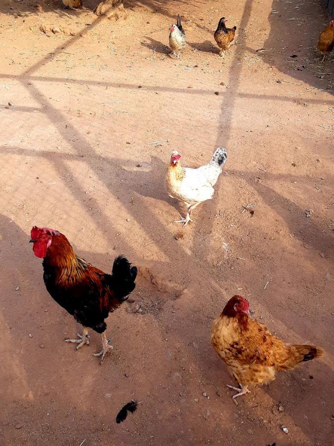 The Farm 호텔 마라케시 외부 사진