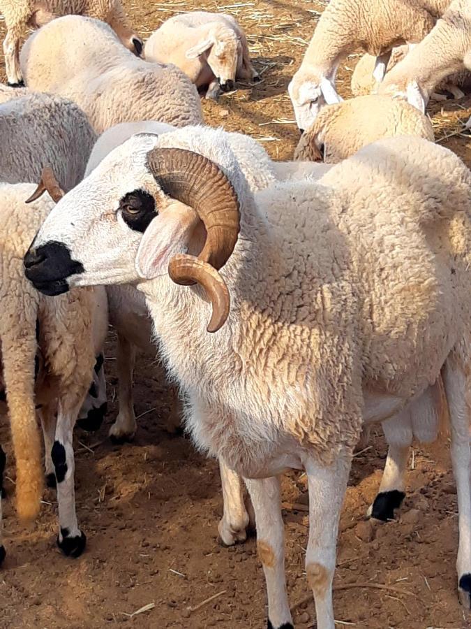 The Farm 호텔 마라케시 외부 사진